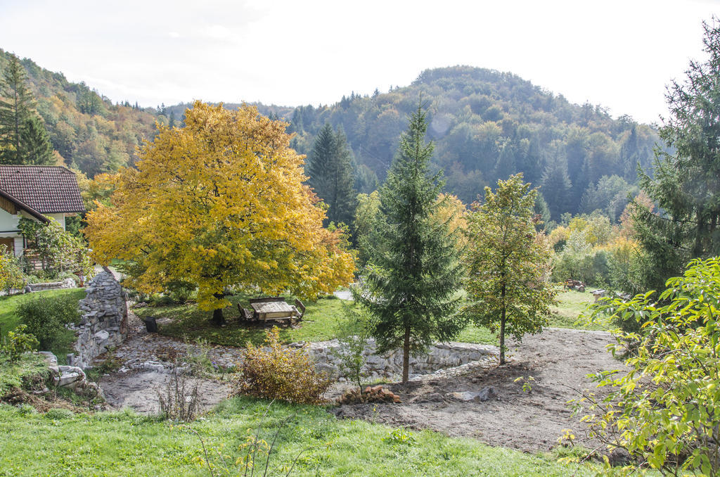 Miskar Rooms Cerknica Exteriör bild